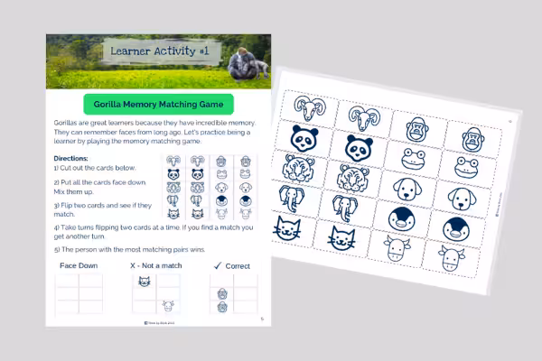 Gorilla.Life.Habit.Image