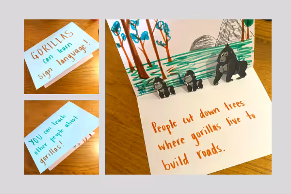 Gorilla.Project.Image