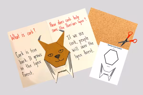 Lynx Project Image