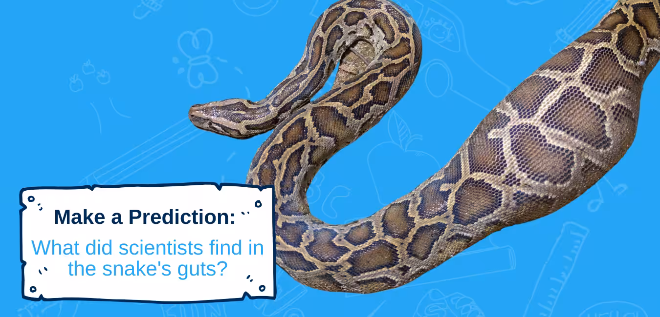 Project Header Templates Invasive Species (11)