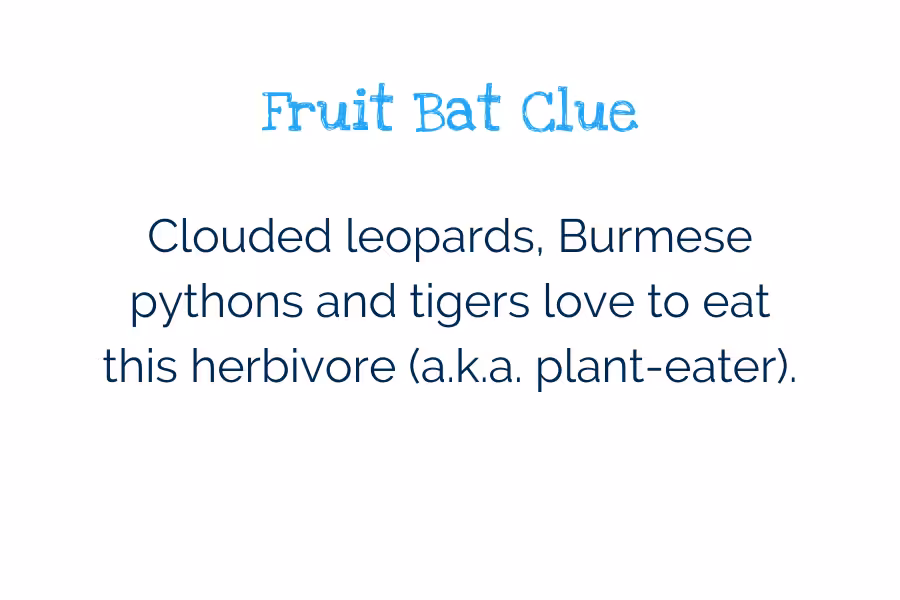 Rectangle Template Invasive Species (11)