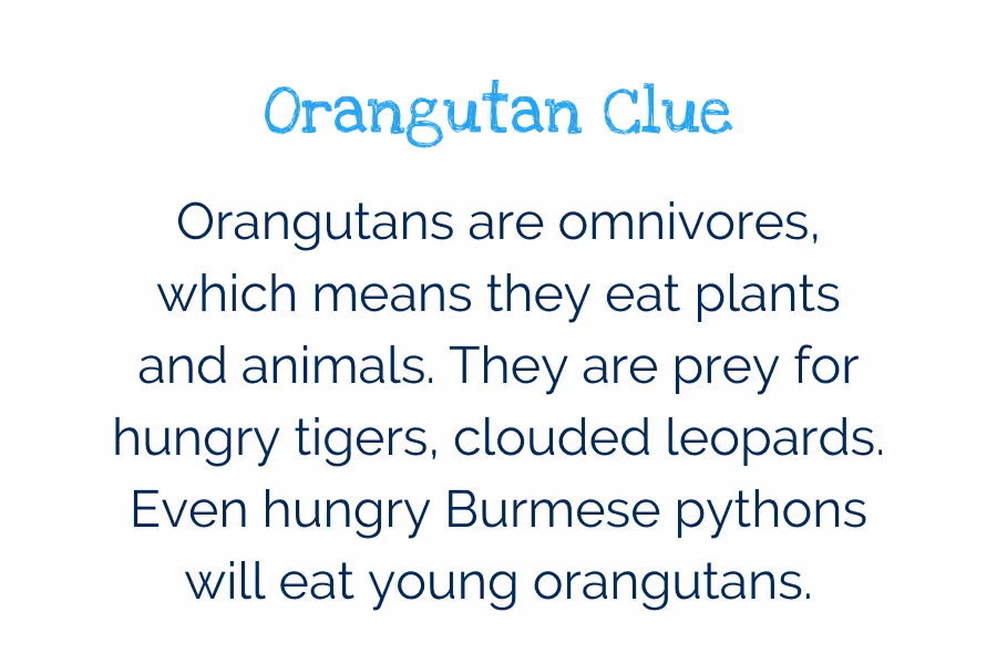 Rectangle Template Invasive Species (8)