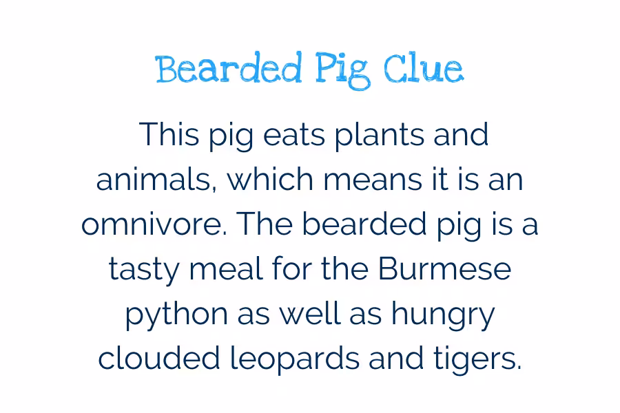 Rectangle Template Invasive Species (9)