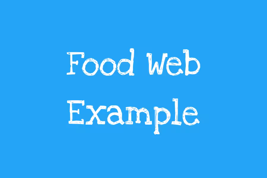 Rectangle Template Invasive Species