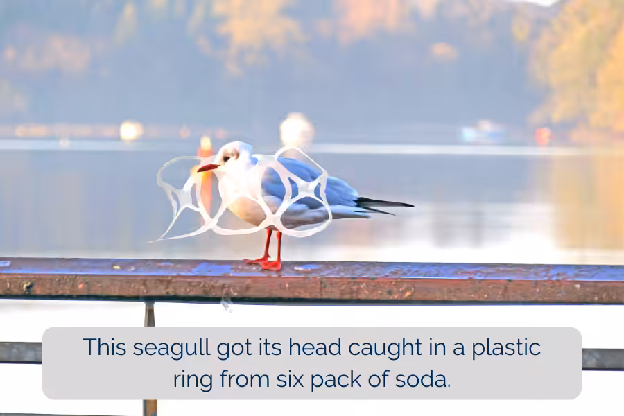 Rectangle Template Garbage Patch (1)