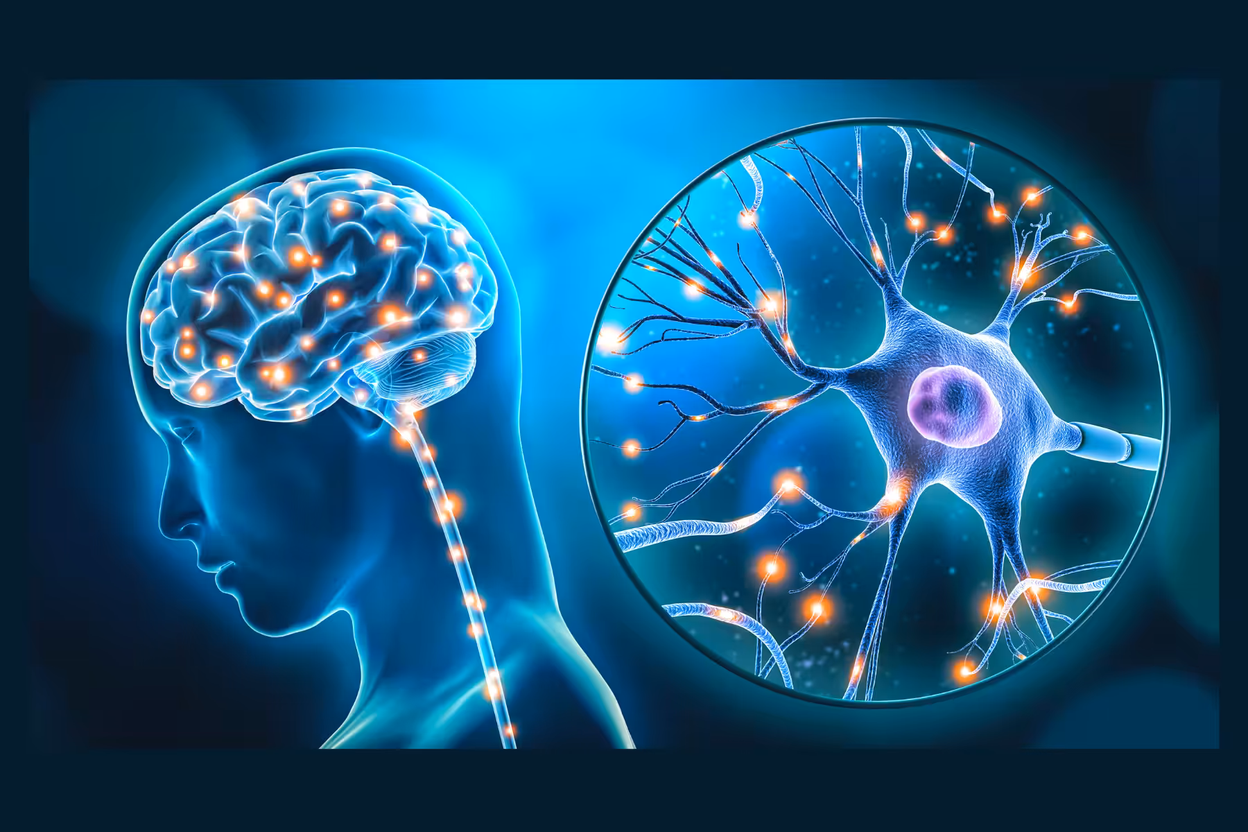Video Games 3.1 Vocab Neuron