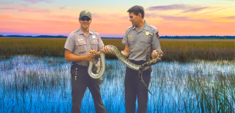 3-5-Virtual-Field-Trip-Feature-Image-Everglades-Invasion.png