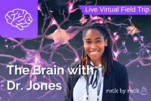 Virtual Field Trip Dr. Jones Brain