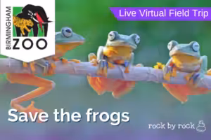 Virtual Field Trip Frogs