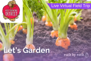 Virtual Field Trip Let's Garden Detroit
