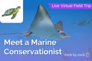 Virtual Field Trip Marine Conservationist