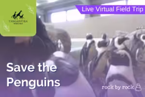 Virtual Field Trip Penguins