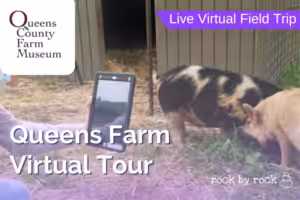 Virtual Field Trip Queens Farm