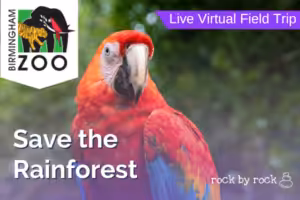 Virtual Field Trip Rainforest