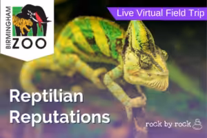 Virtual Field Trip Reptiles