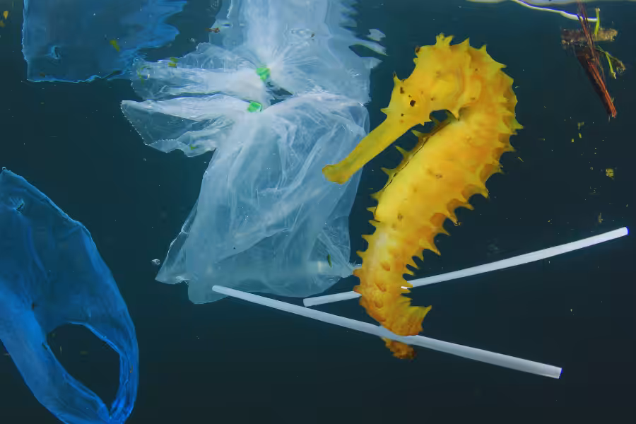 Super DNA 2.2 A Straw in Water