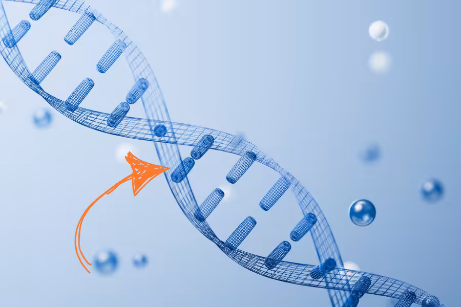 Super DNA 3.1 gene