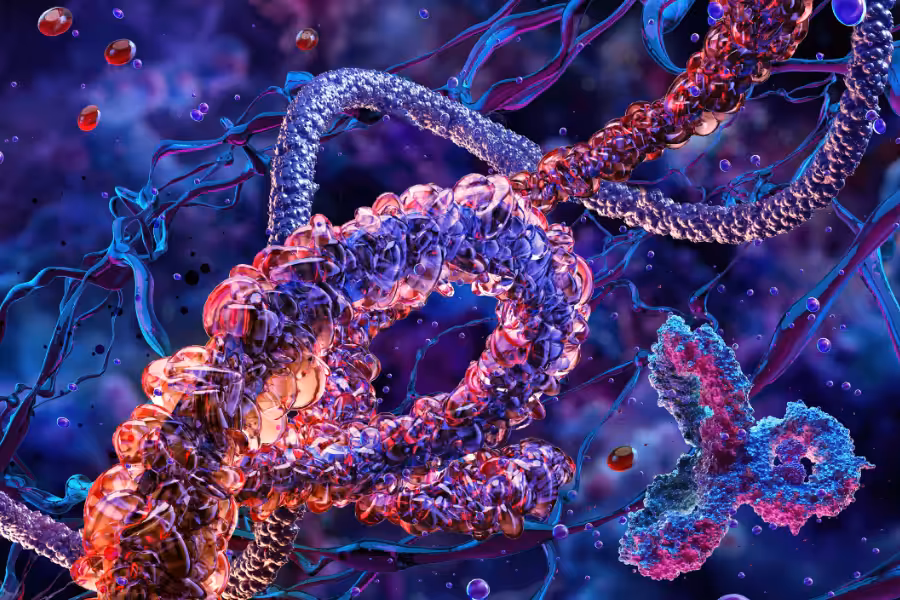 Super DNA 3.1 protein