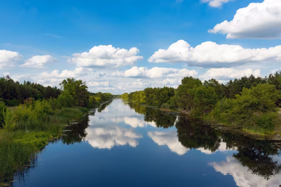 Stop The Invasion_ 3.2.A Ecosystem Examples_ River