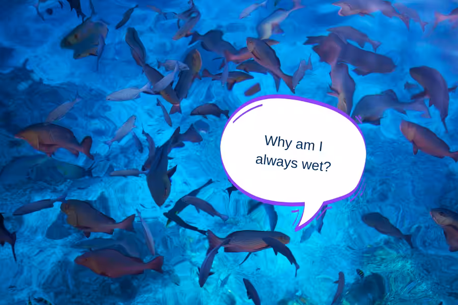 Stop The Invasion_ 3.2.B Aquatic Ecosystem