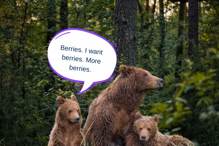 Stop The Invasion_ 3.2.B Terrestrial Ecosystem