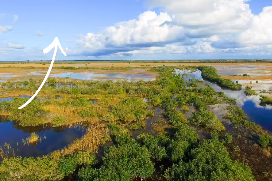 Stop The Invasion_ 3.3 Air