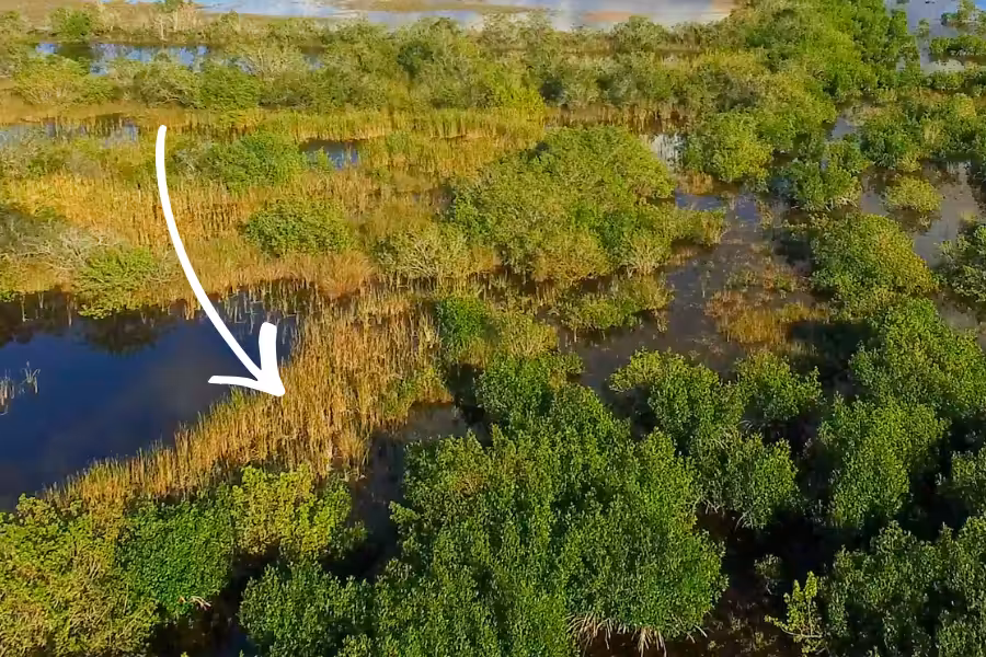 Stop The Invasion_ 3.3 Shelter