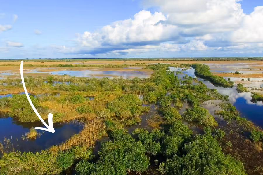 Stop The Invasion_ 3.3 Water